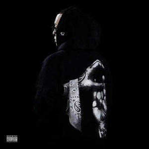 茶茶红润脚底lvk
