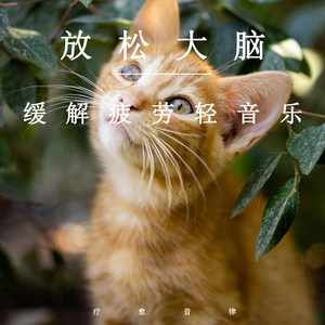 茶茶红润脚底lvk
